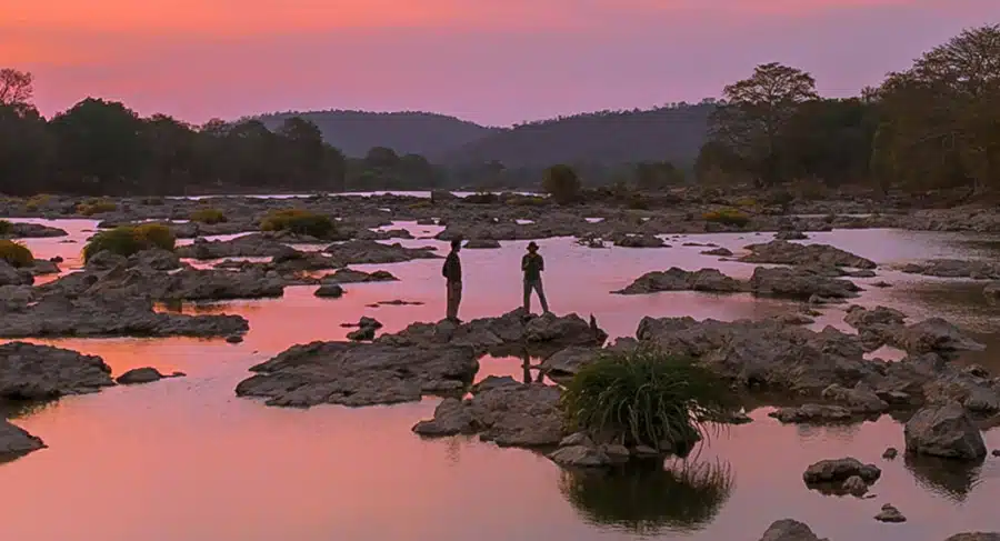 MA Screen and Film Production students collaborate on wildlife documentary